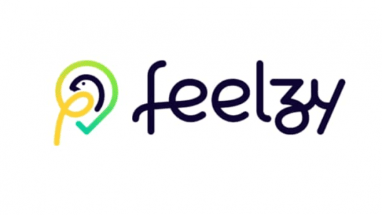 Annulé / Webinar Club Innovation & Digitalisation : FEELZY